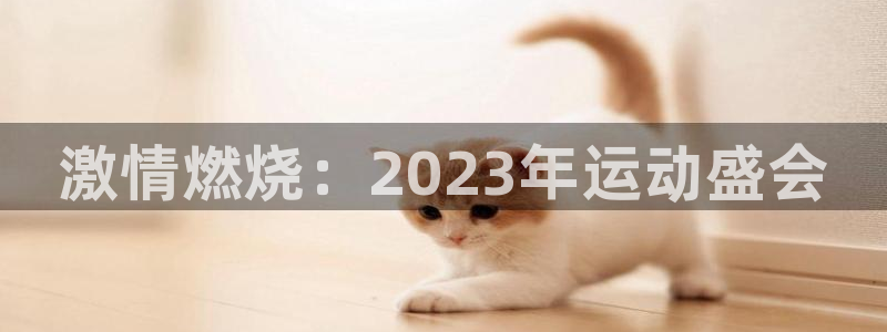 风速体育直播