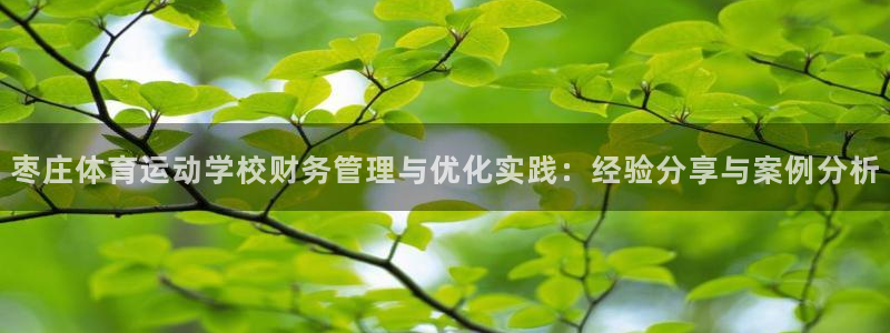 风速体育下载