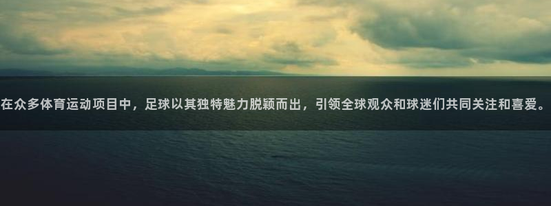 风速体育下载