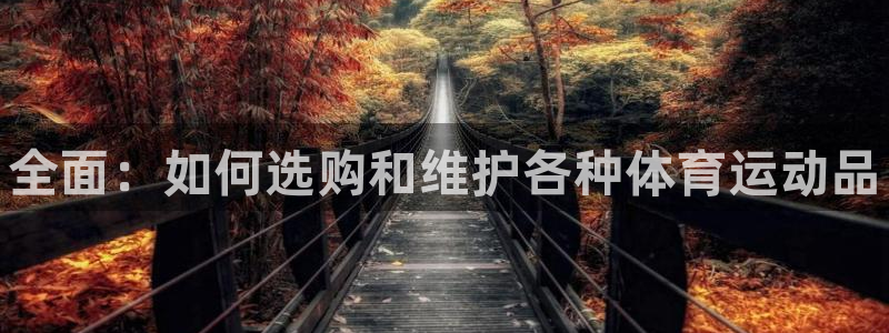 下载风速体育