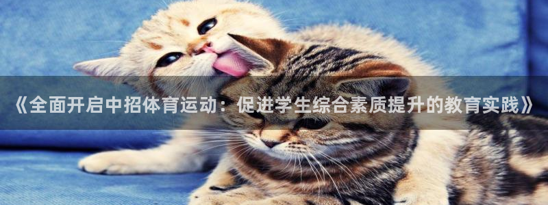 风速体育直播app