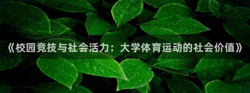 风速体育app官方下载