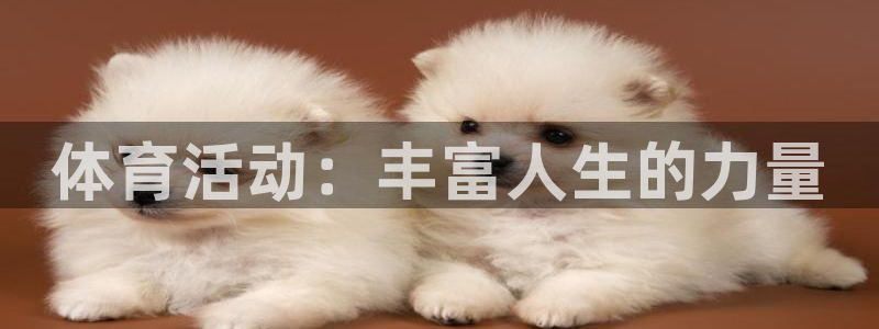 风速体育app官方下载