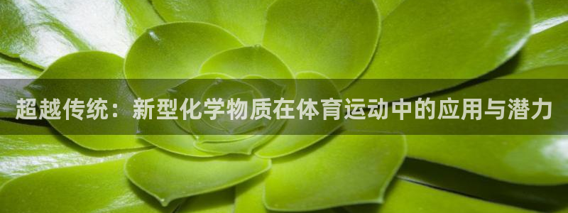 风速体育app官方下载