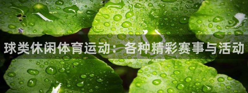 风速体育app官方下载