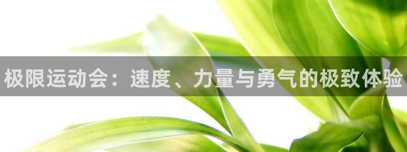 风速体育直播