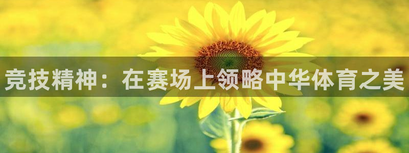 风速体育app下载安装最新版本