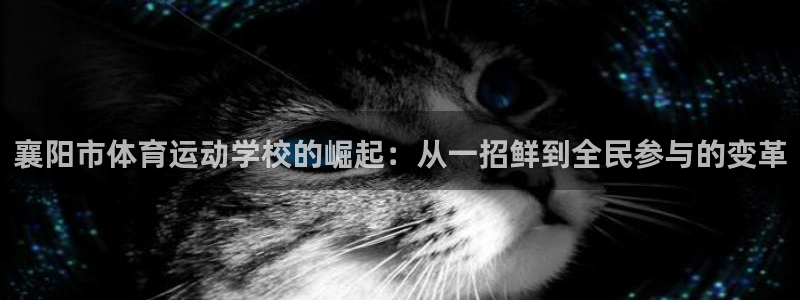 风速体育app下载官网最新版