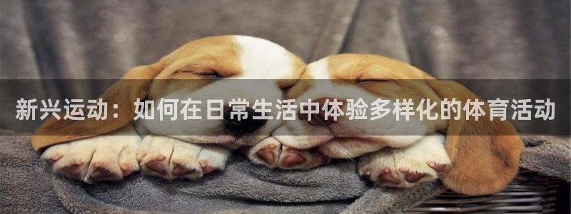 风速体育cba直播
