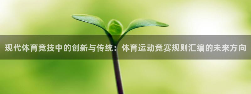风速体育app官方下载