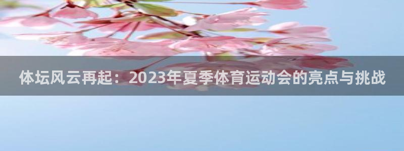 风速体育