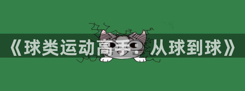 风速体育app下载官网最新版