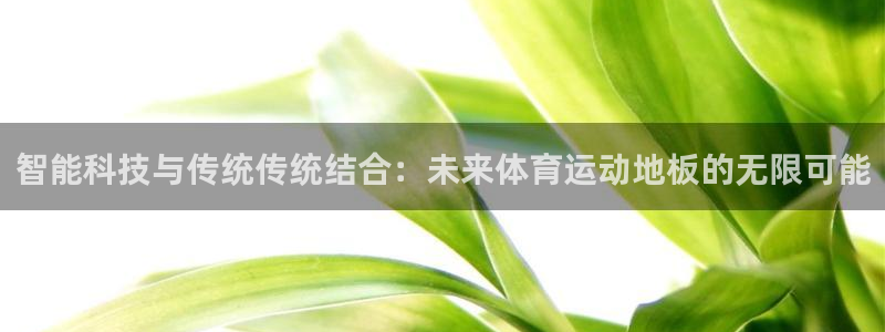 风速体育app