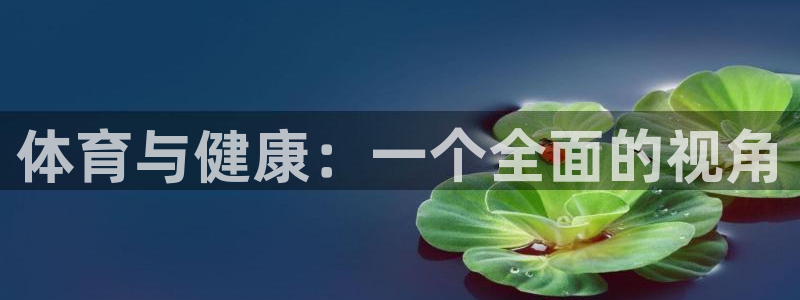 风速体育官网