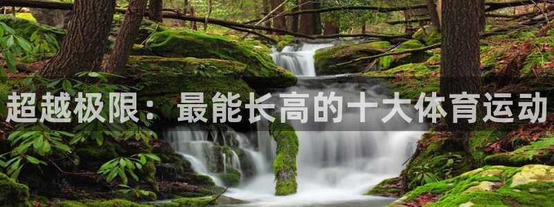 风速体育cba直播
