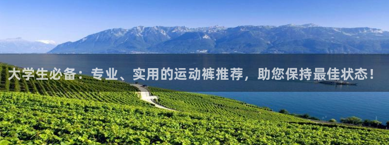风速体育app下载官网最新版
