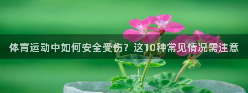 风速体育官网