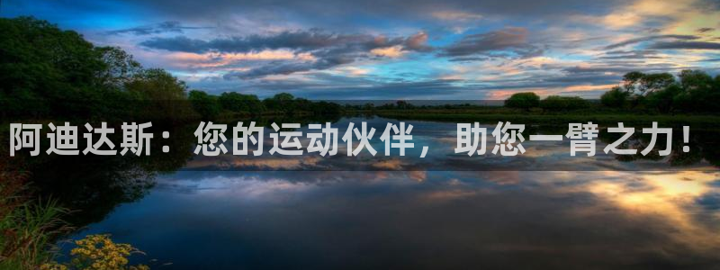 风速体育app下载安装最新版本