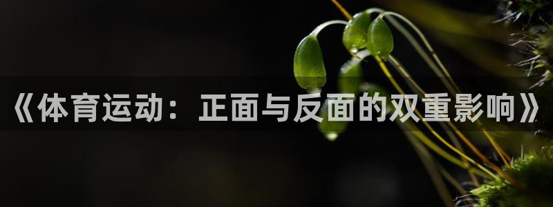 风速体育app