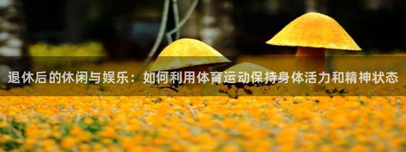 下载风速体育