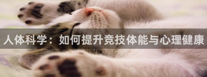 风速体育app下载官网最新版