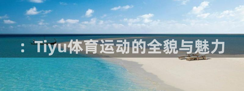 风速体育app官方下载