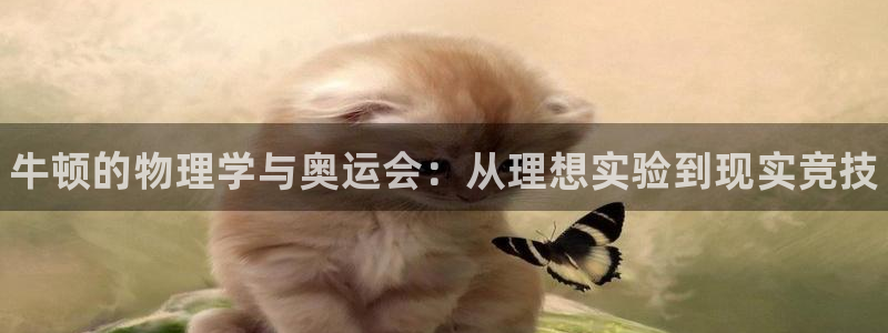 风速体育直播app
