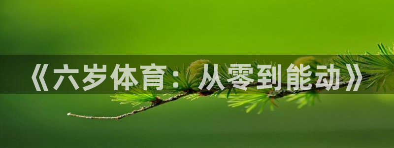 风速体育nba免费直播