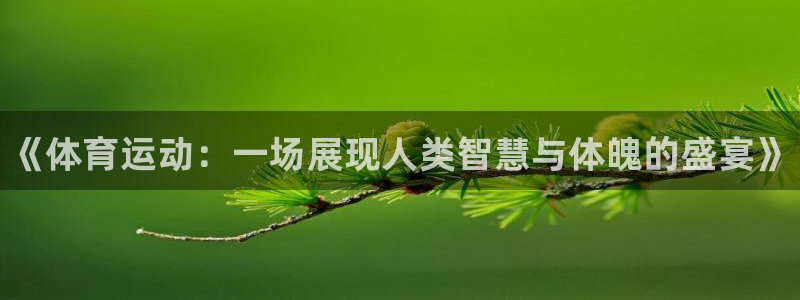 风速体育app下载官网最新版