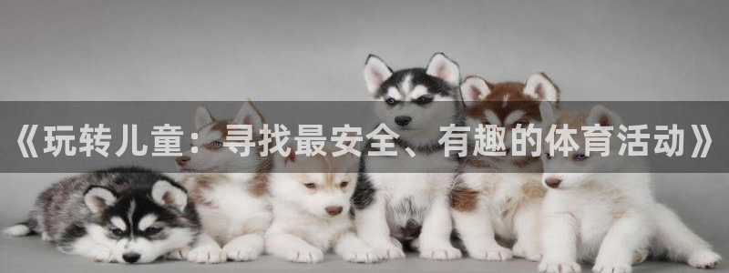 风速体育直播