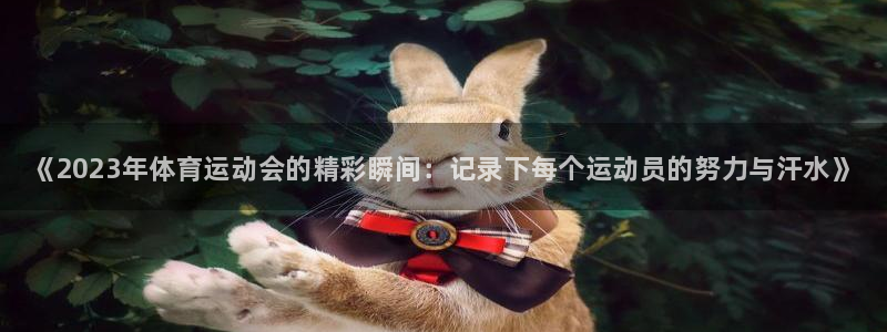 风速体育app