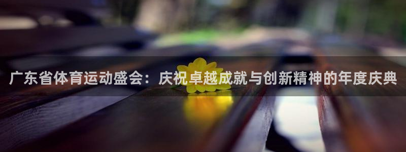风速体育nba直播