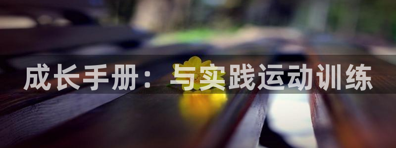 风速体育app下载官网最新版