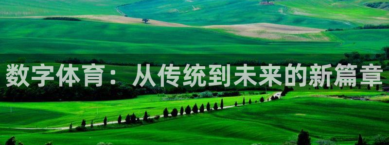 风速体育直播