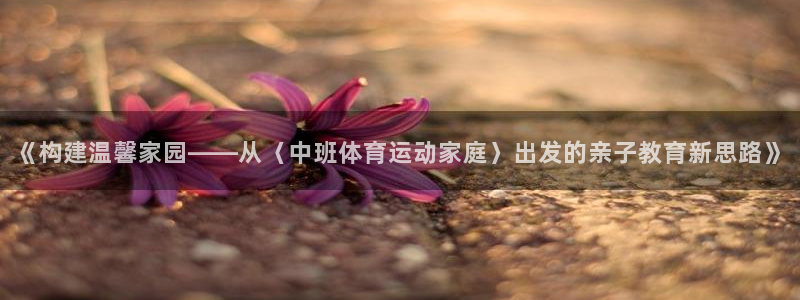 风速体育nba直播