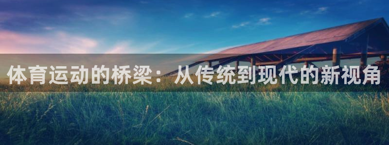 风速体育nba直播：体育运动的桥梁：从传统到现代的新视角