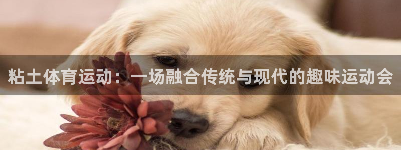 风速体育nba直播：粘土体育运动：一场融合传统与现代的趣味运动会