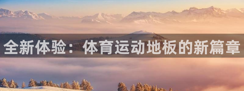 风速体育app官方下载：全新体验：体育运动地板的新篇章