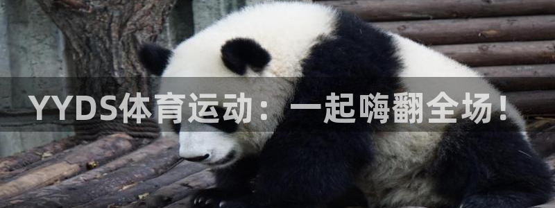 风速体育nba免费直播：YYDS体育运动：一起嗨翻全场！