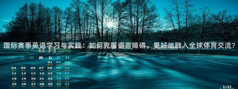 风速体育直播app：国际赛事英语学习与实践：如何克服语言障碍，更好地融入全球体育交流?