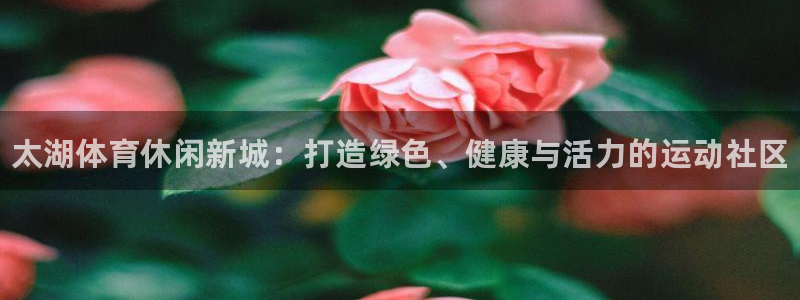 风速体育：太湖体育休闲新城：打造绿色、健康与活力的运动社区